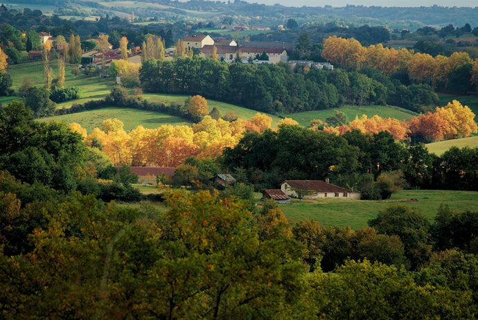Haus von Ozzy Osbourne: Wo lebt der Rockstar heute?